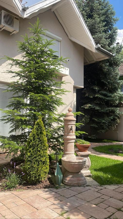 La Casa Tamaris Apartment Senta Екстериор снимка